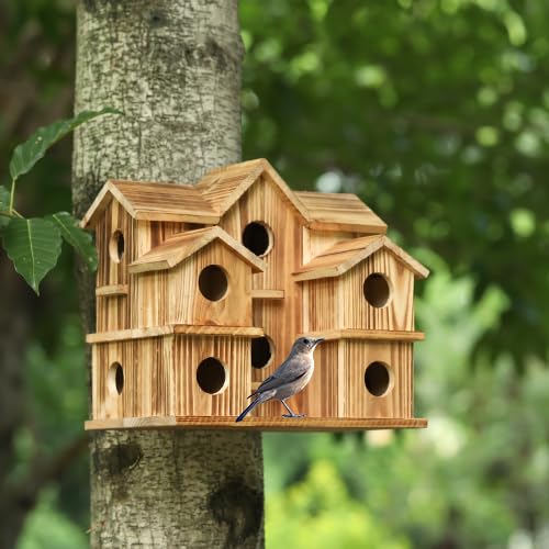 10 Hole Large Bird House E360702