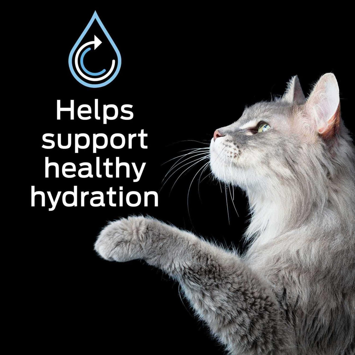 Hydra Care Pet Supplements U49805