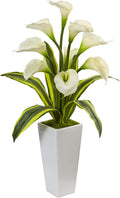 White Calla Lilies Silk Arrangement Y3865