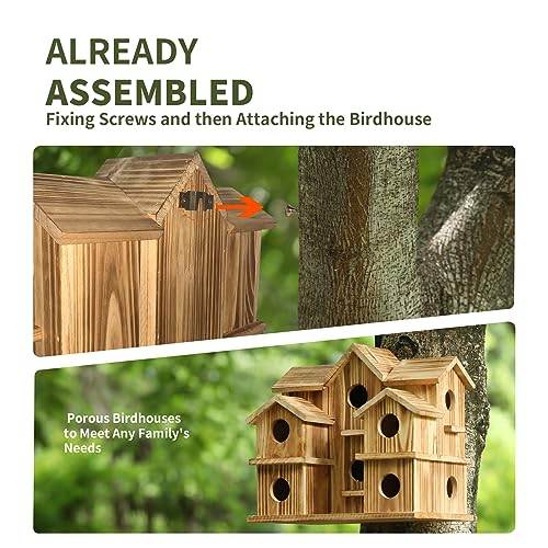 10 Hole Large Bird House E360702