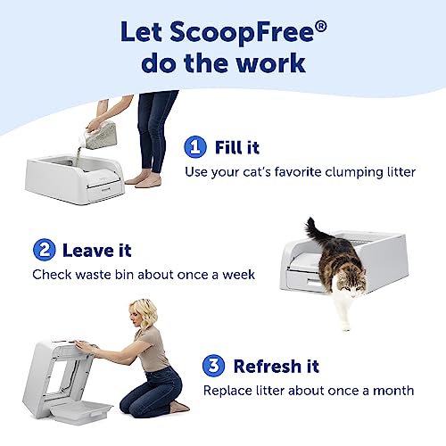 Self-Cleaning Litter Box for Clumping Litter J429