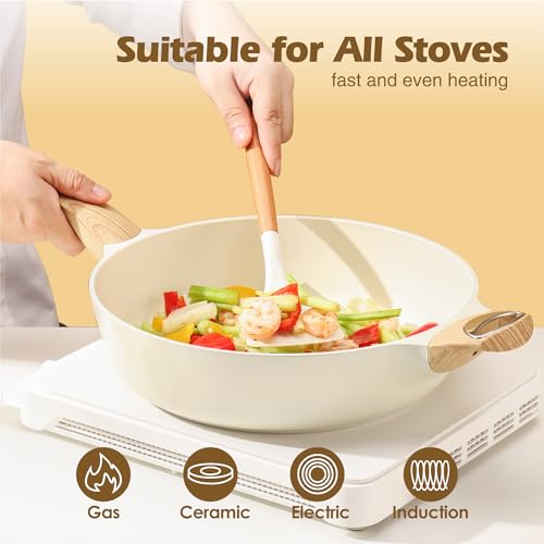 12 Inch Nonstick Deep Frying Pan with Lid Q2934