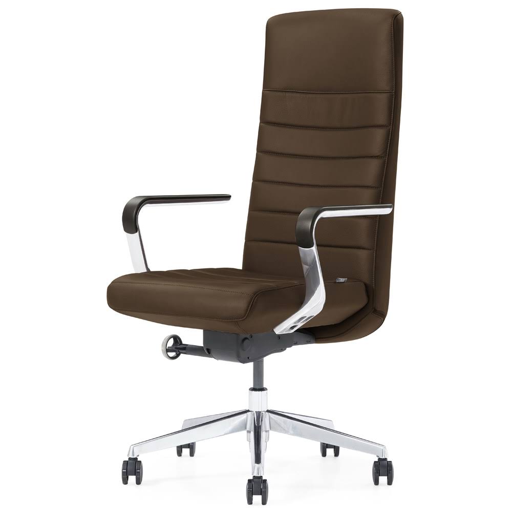 Modern Dark Brown Leather Executive Chair M7101