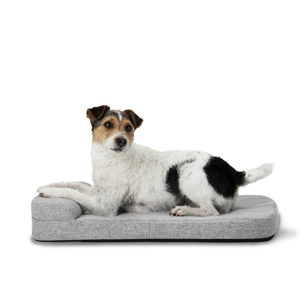 Dog Bed I1123