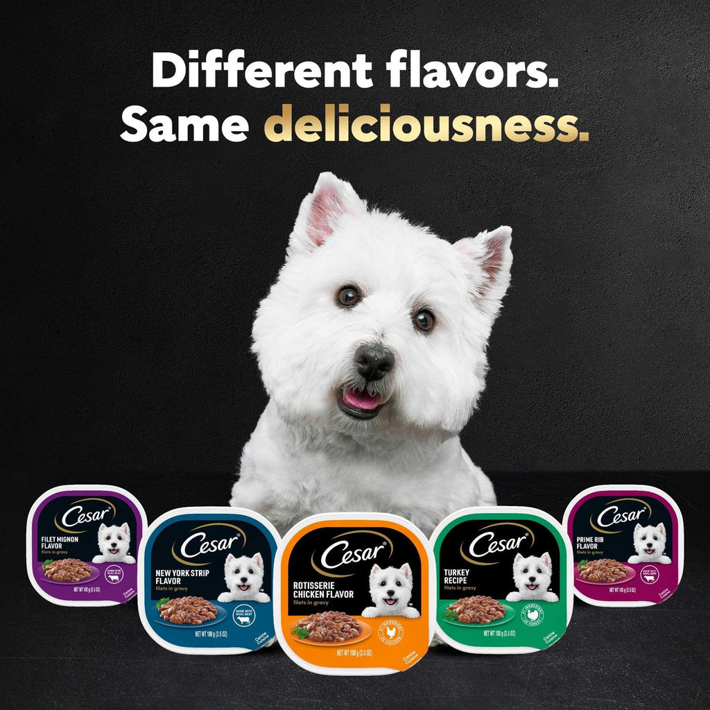 Rotisserie Chicken Flavor Wet Dog Food K315