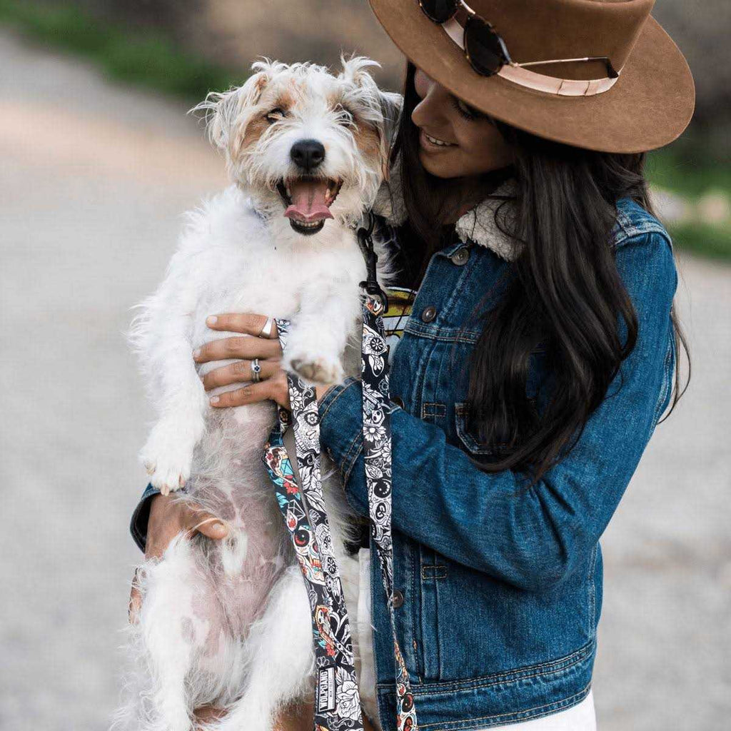Dog Leash O2741