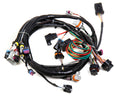 LS1 Main Harness N495