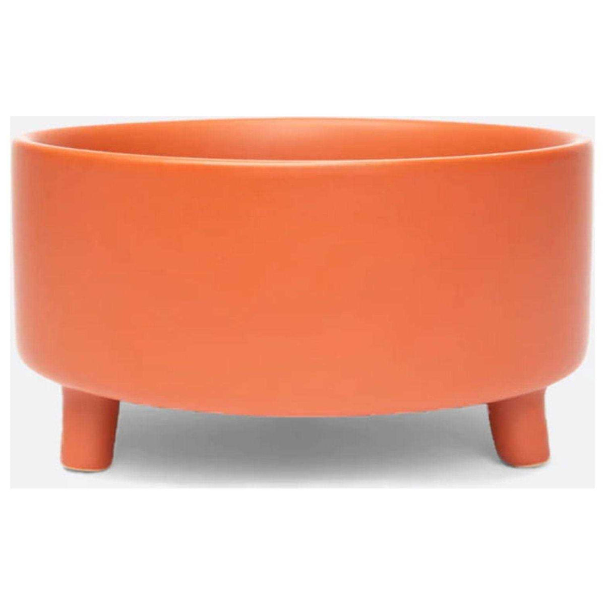 Ceramic Dog Bowl X82817