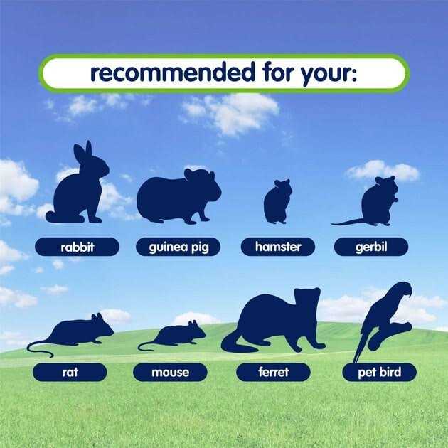 Small Animals Bedding Y642014