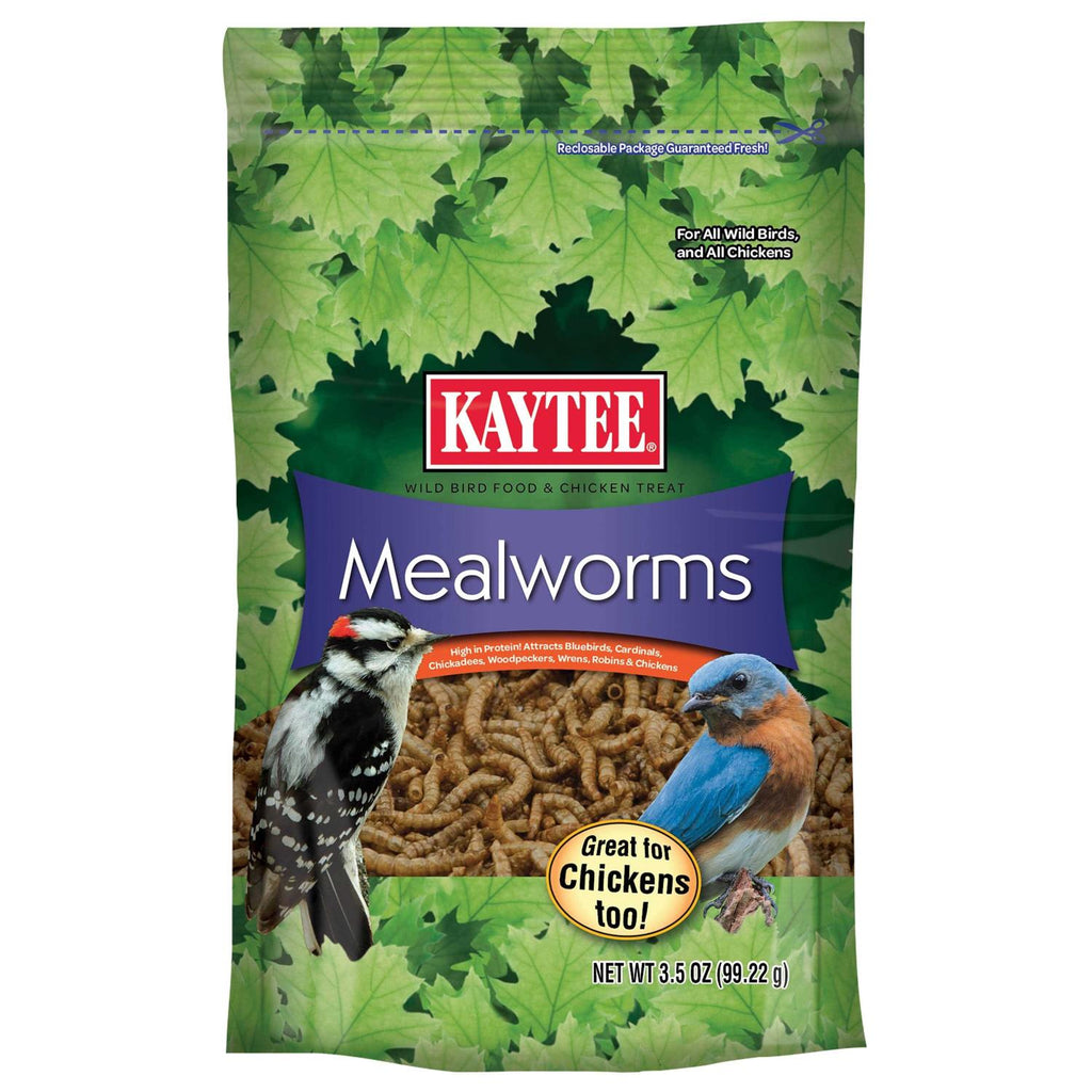 Mealworms Bird Food Z6660