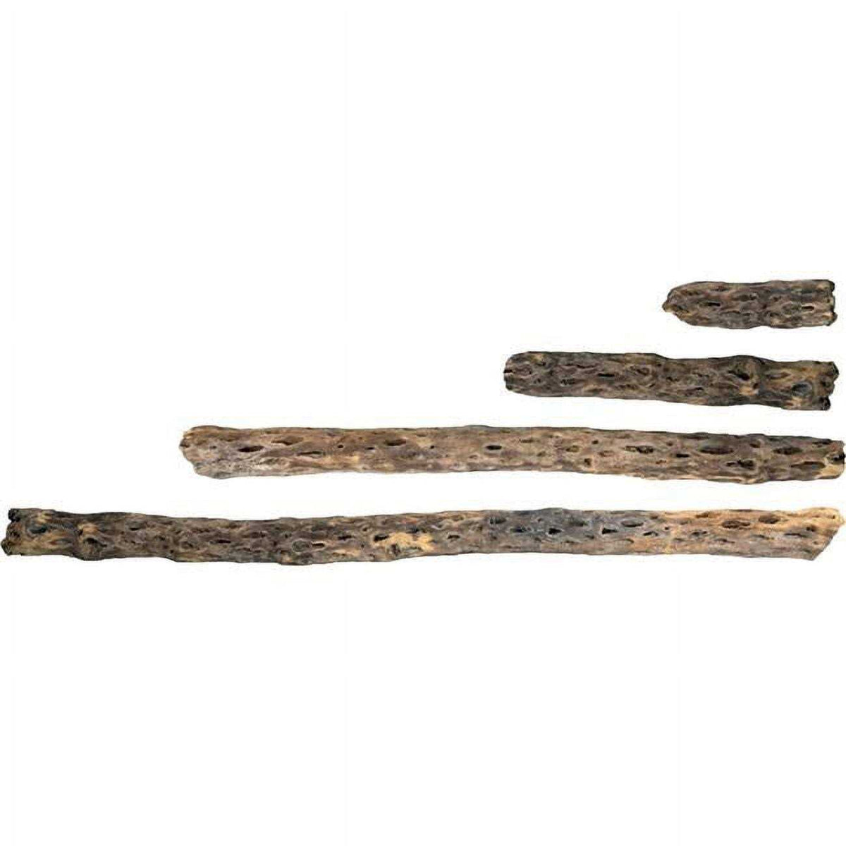 Cholla Wood E5921