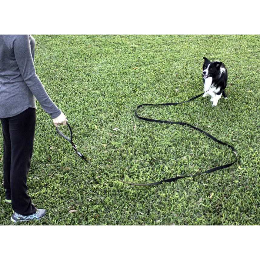 10 Foot Dog Leash with Padded Handle X28640