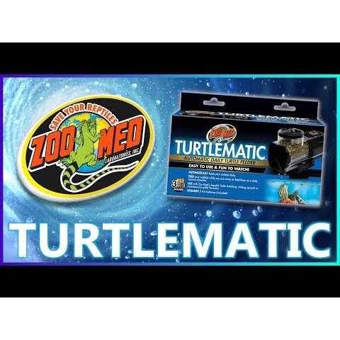 Automatic Daily Turtle Feeder B1695