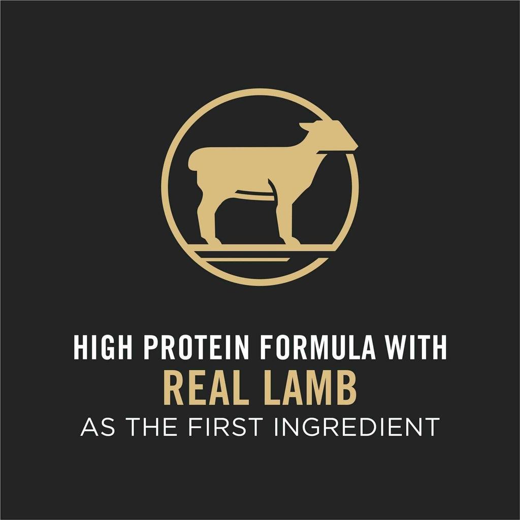 Dog Food Lamb & Rice P834