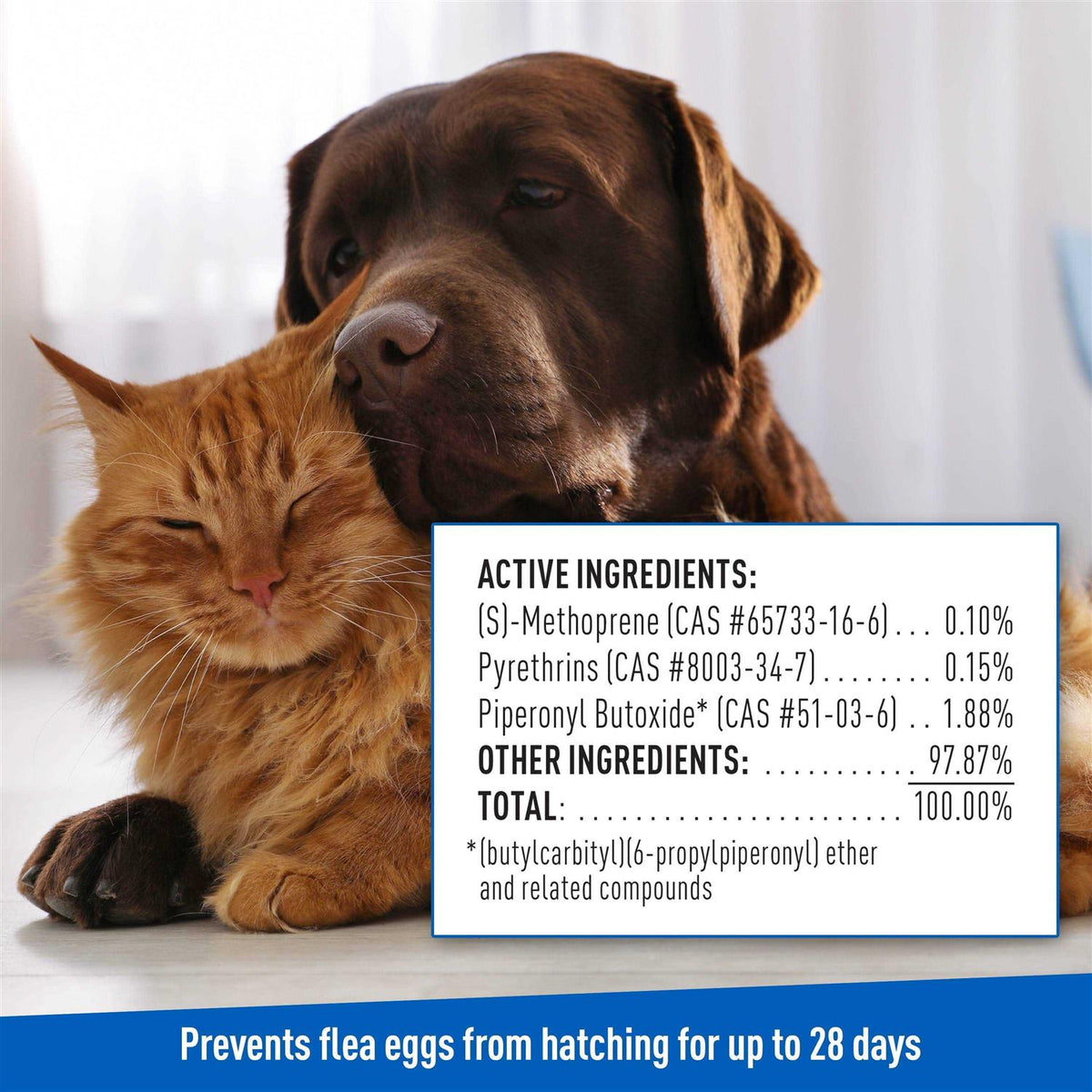 Flea Tick Shampoo K6074