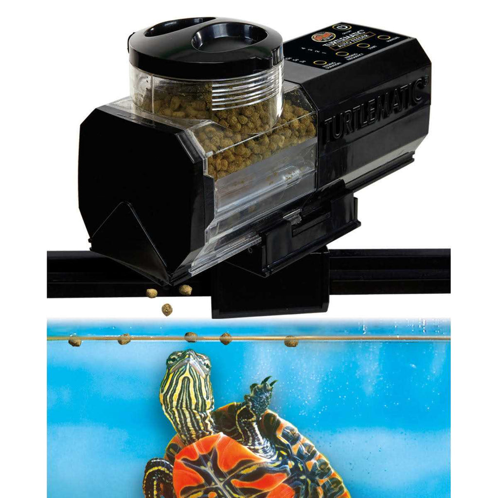 Automatic Daily Turtle Feeder B1695