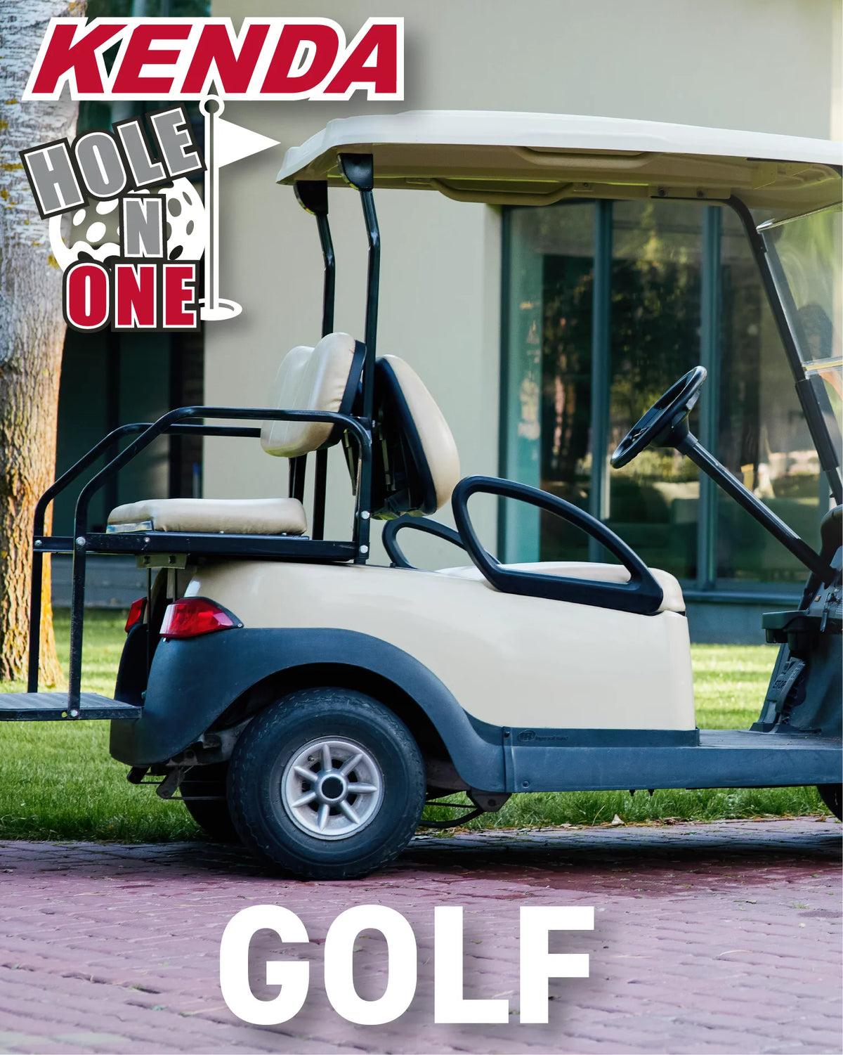 20x9-12 6 Ply Tubeless Golf Cart Turf Tires 2 Pack B2757