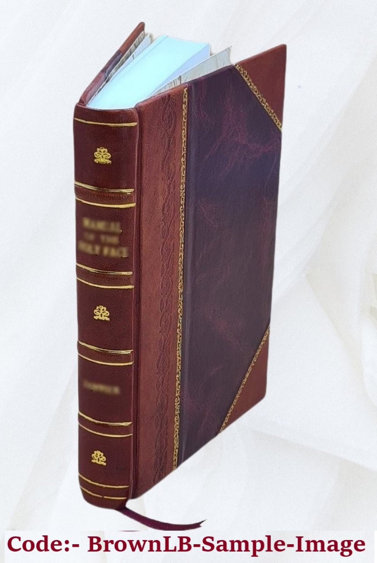 Leather Bound Book I5300