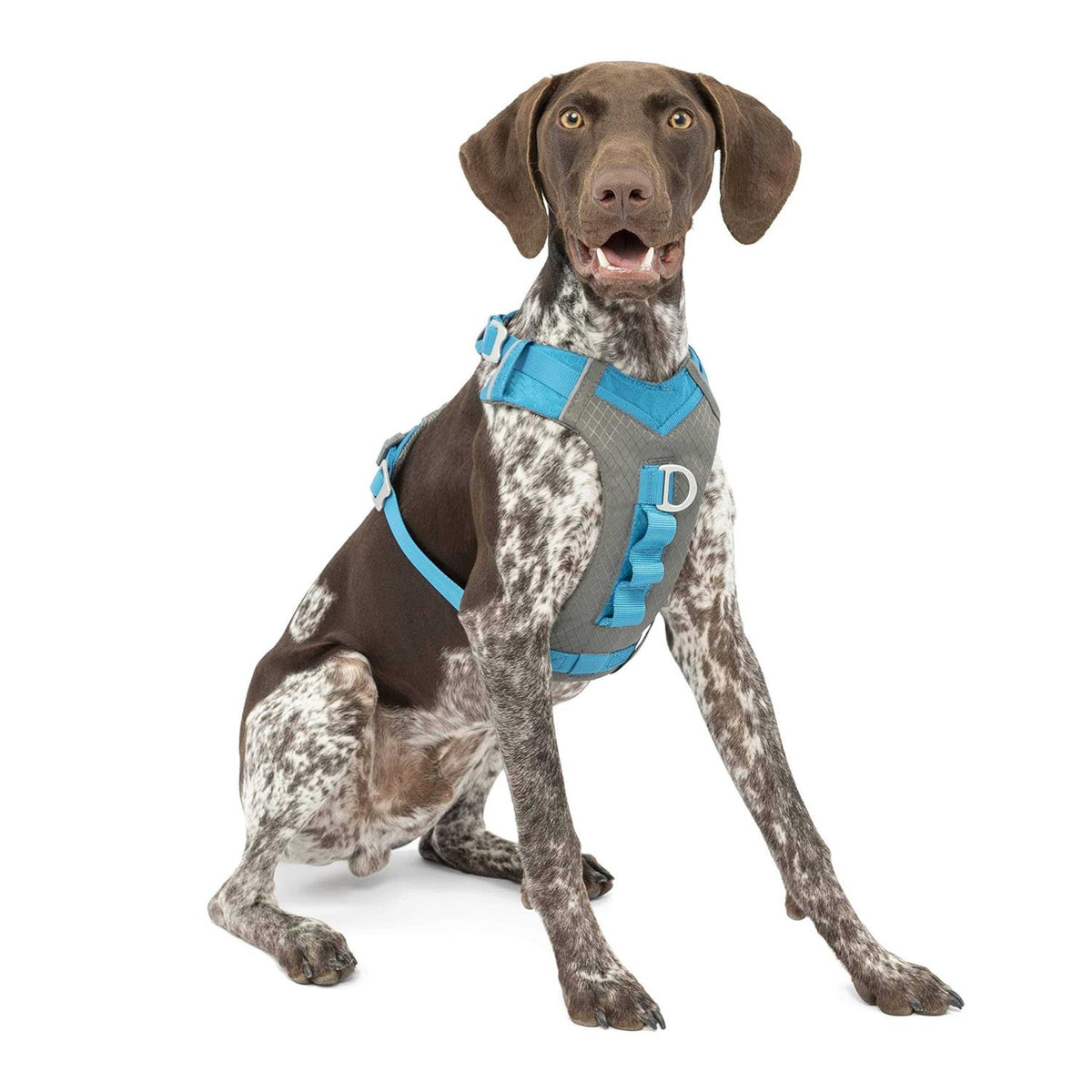 Dog Harness R296