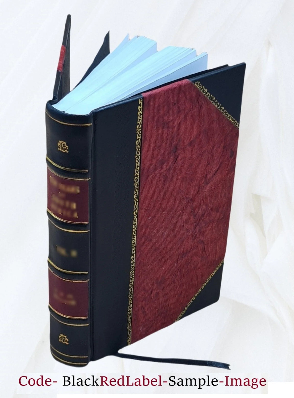 Will-power 1902 Leather Bound D190