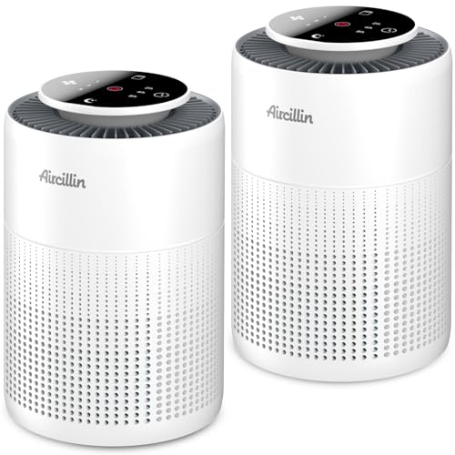 2 Pack H13 True HEPA Air Purifiers with Night Light P650092